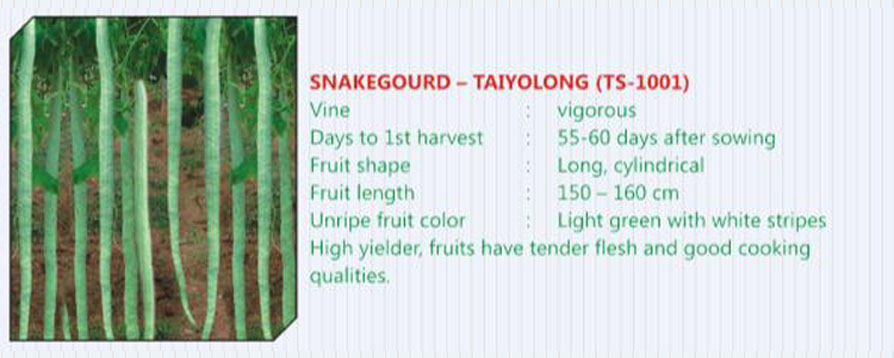 taiyo-seeds
