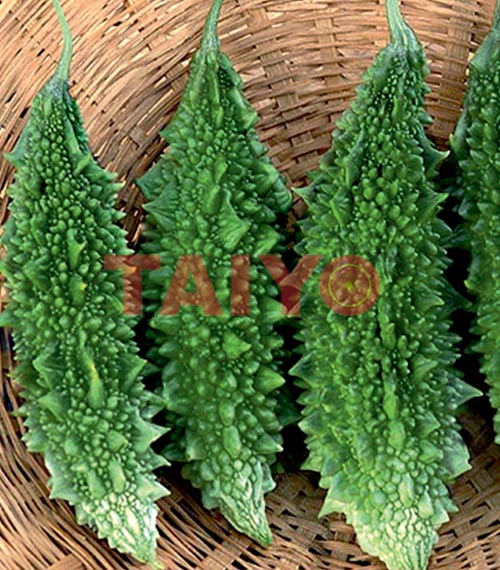 Taiyo Katai (TS-133)